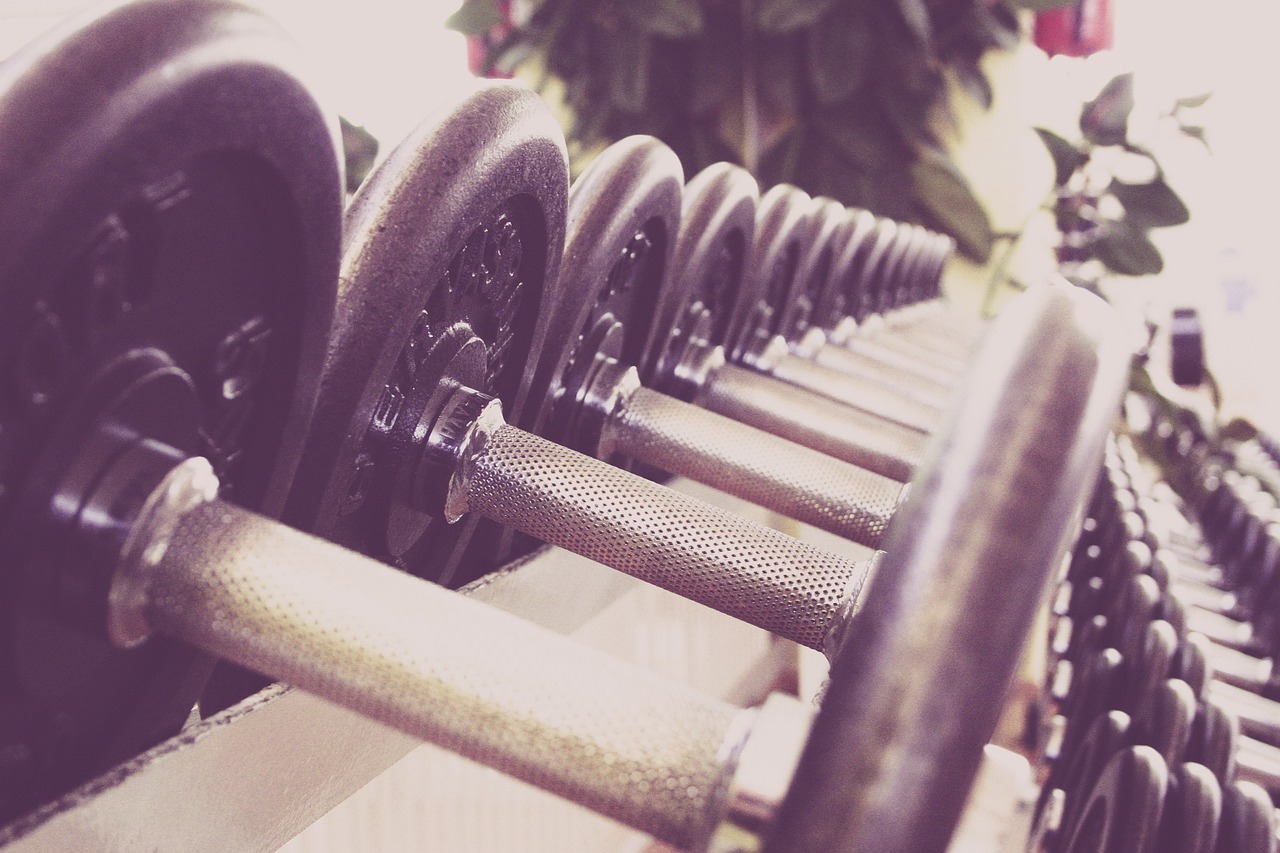 Fundamentals of Home Exercise and Training Gym Equipment