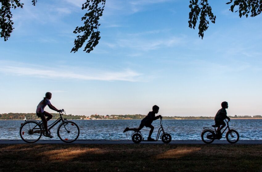 The Importance of Physical Fitness
