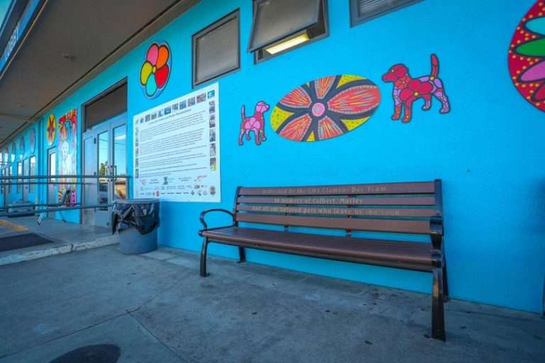 Baldwin Park Animal Control Contract Under Review