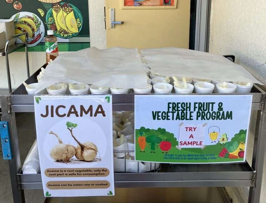 More Nutrition Education Coming to Schools